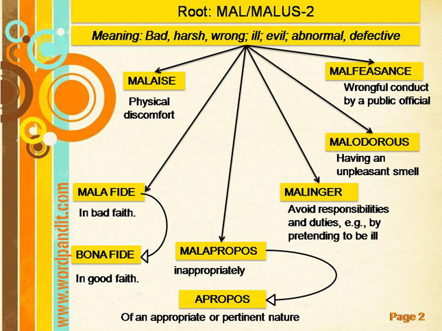 root sample words