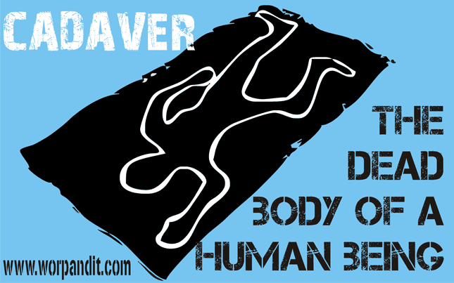 Definition Of Human Cadaver