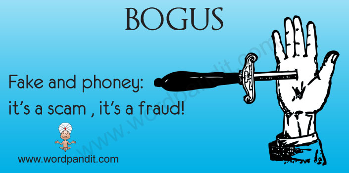 What Is The Meaning Of Bogus Company