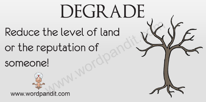 degrade-wordpandit