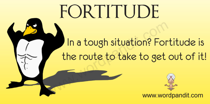 Meaning of Fortitude
