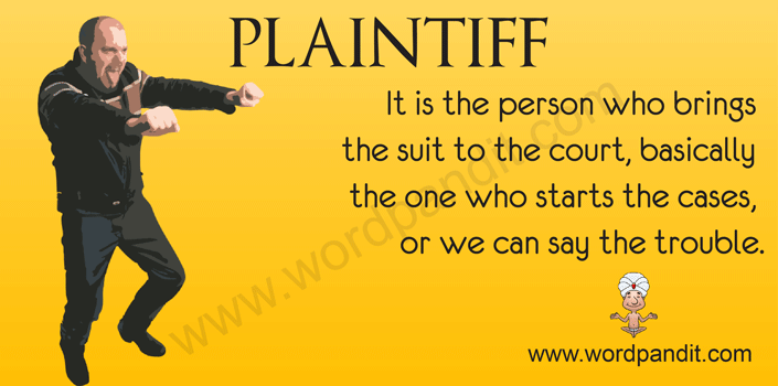 plaintiff definition