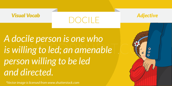 In a sentence.com, use docile in a sentence
