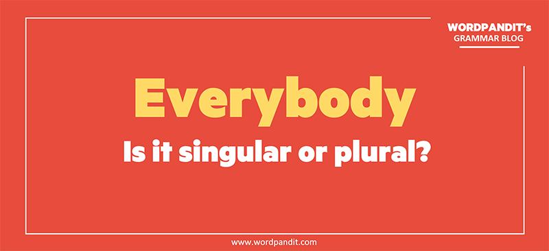 "Everybody" Số Ít hay Số Nhiều? Giải Đáp Tất Cả Thắc Mắc Về Cách Sử Dụng Đúng