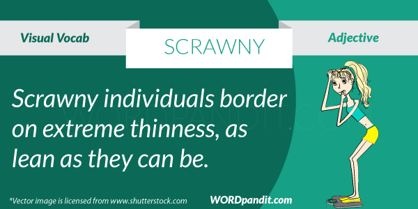 Scrawny | Wordpandit