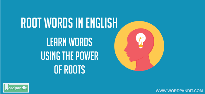 Root Words in English