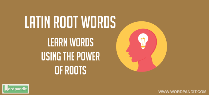 latin root words