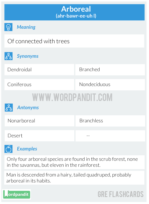 Arboreal-GRE-Flashcard