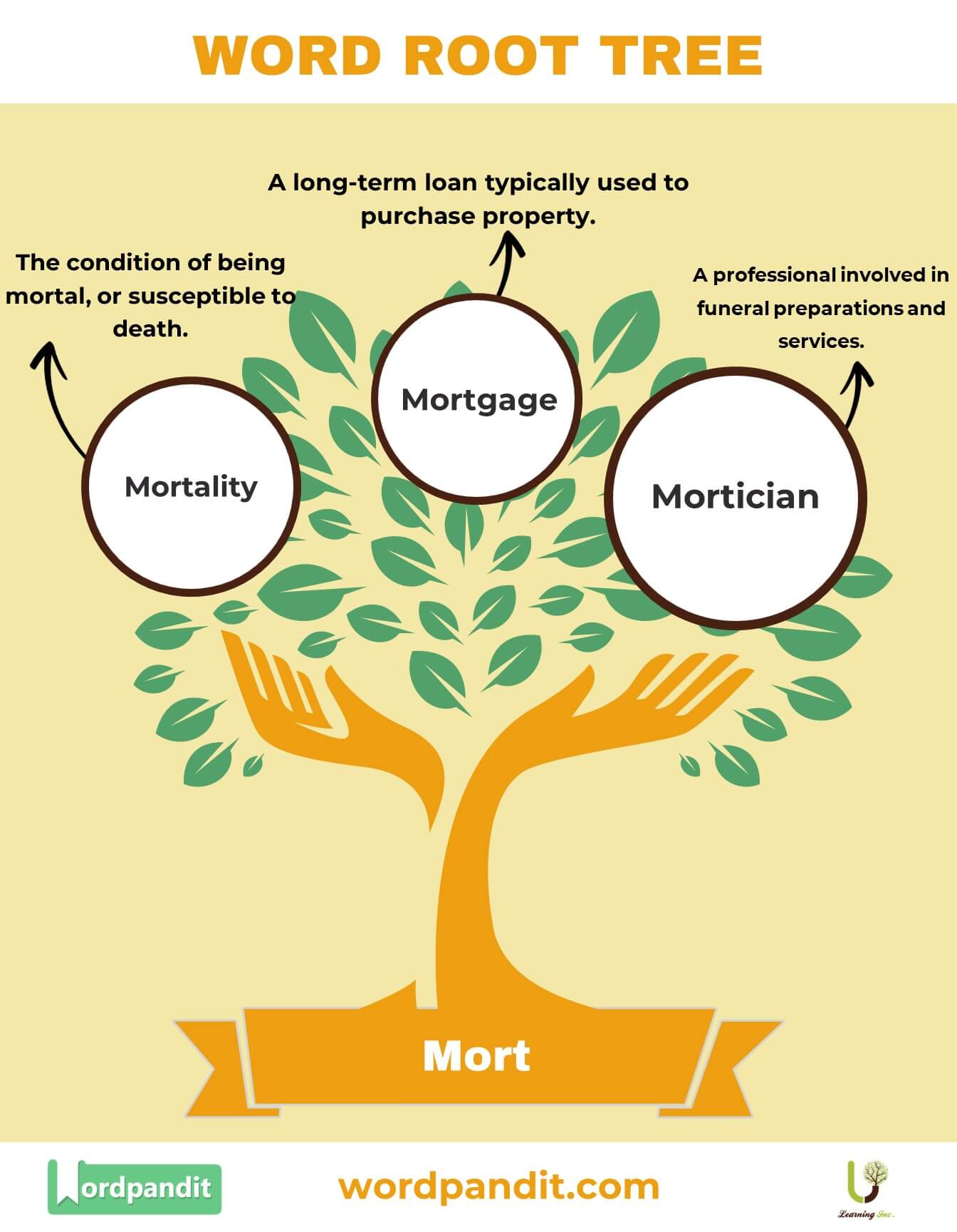 The Mort Root Word: Meaning, Definition, and Examples