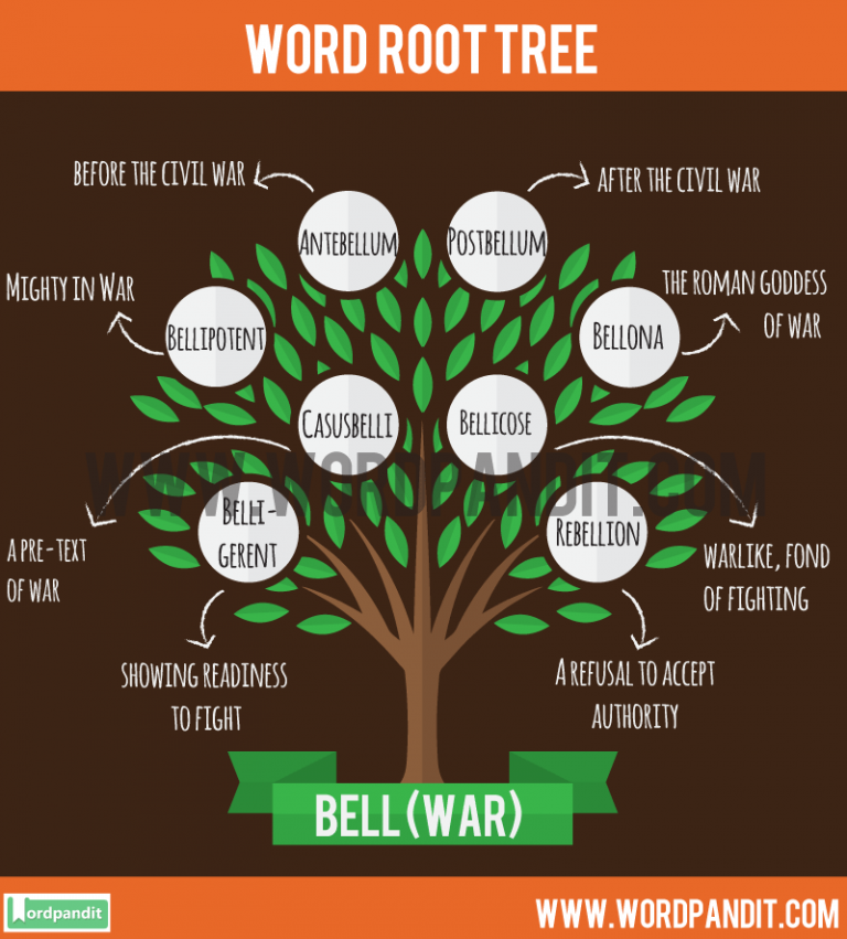 Words With Root Word Bell