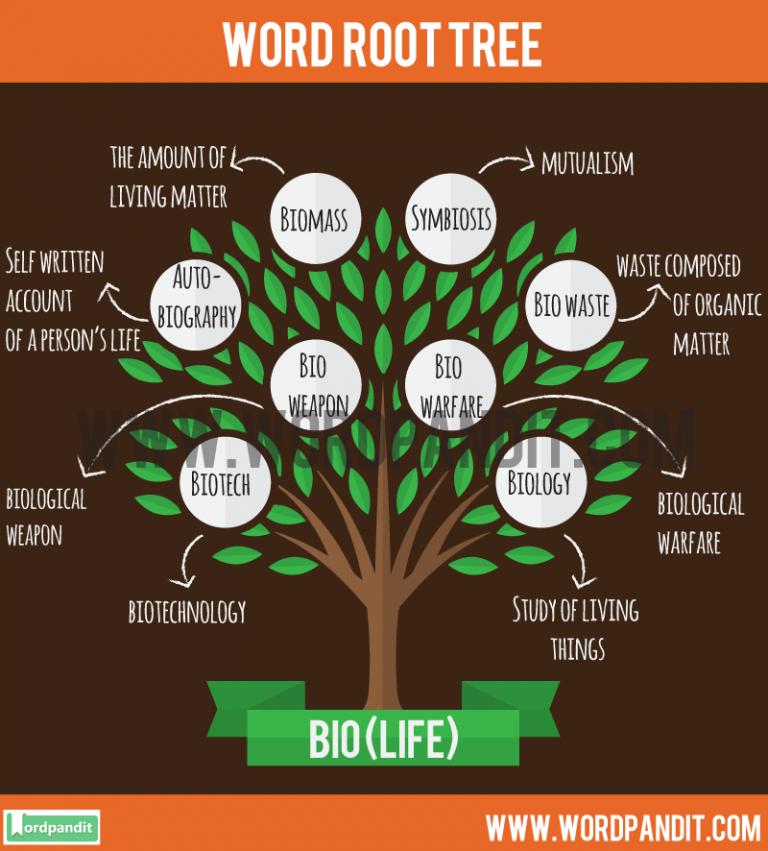 root-words-definition-and-list-of-root-words-with-meanings-7-e-s-l