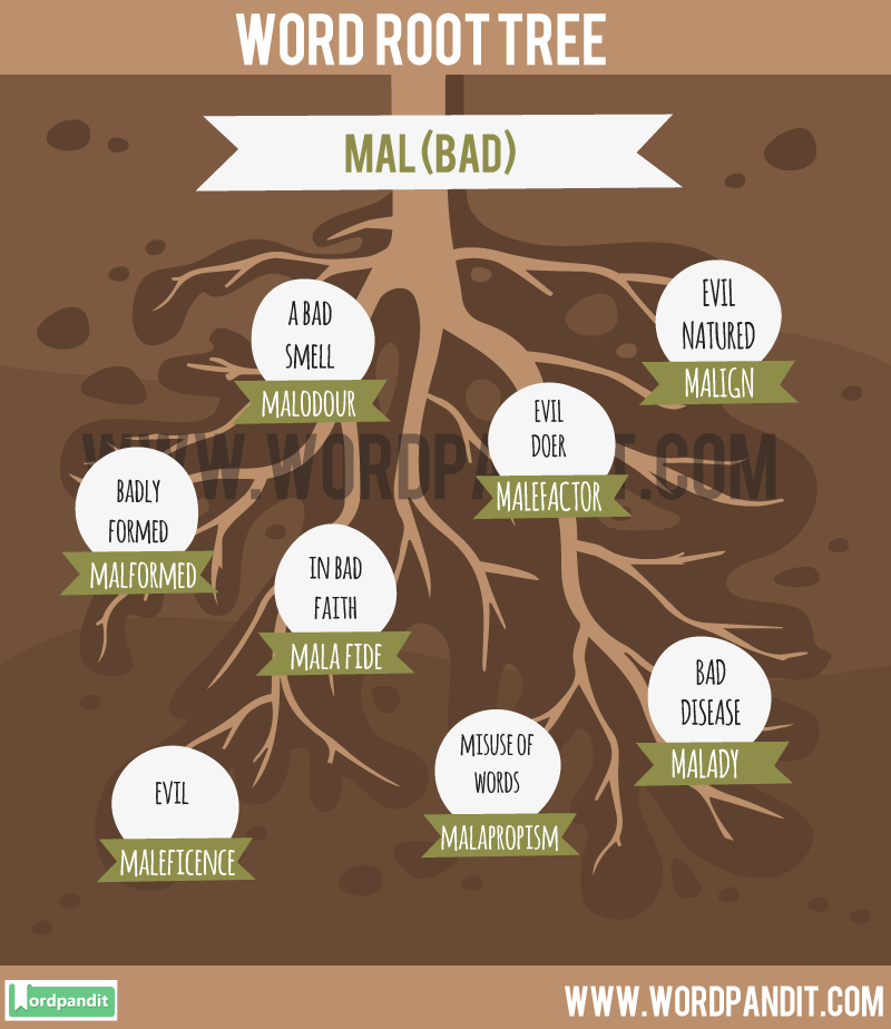 mal-root-word-wordpandit