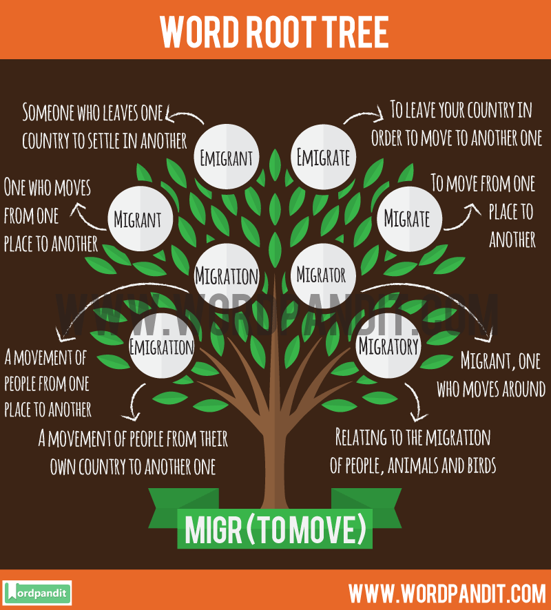 migr-root-word-wordpandit