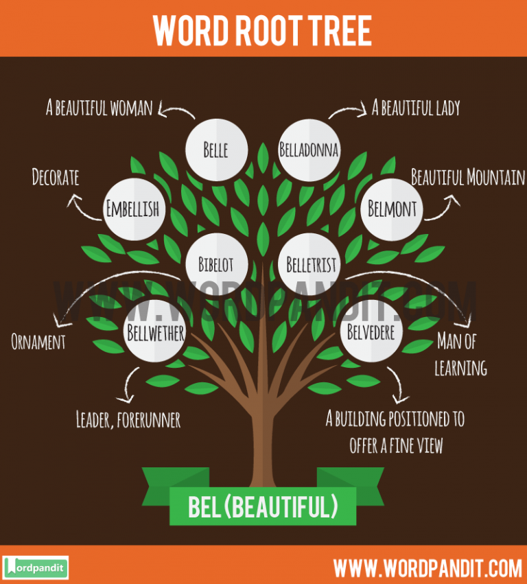 bel-root-word-wordpandit