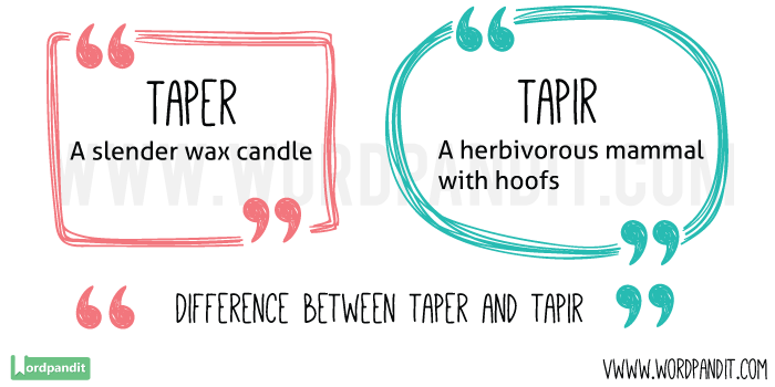 Taper-vs-Tapir