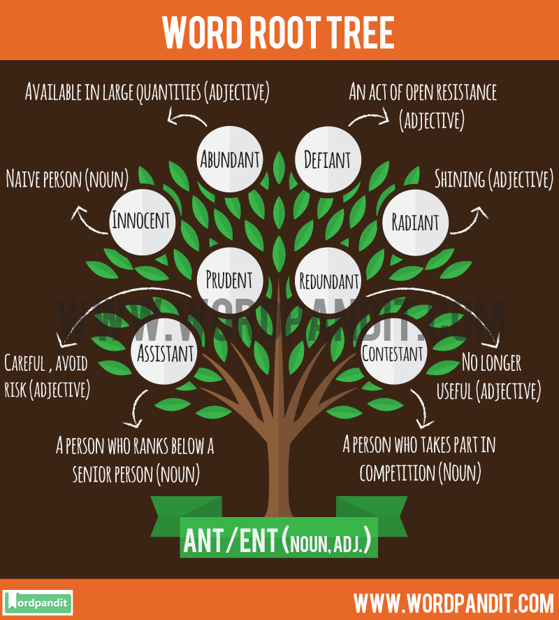 ant-ent-root-word-wordpandit