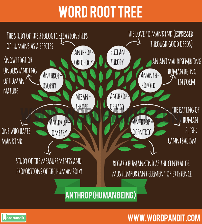 word-root-anthrop-wordpandit