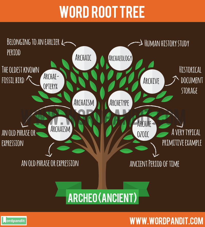 Archeo Root Word Wordpandit