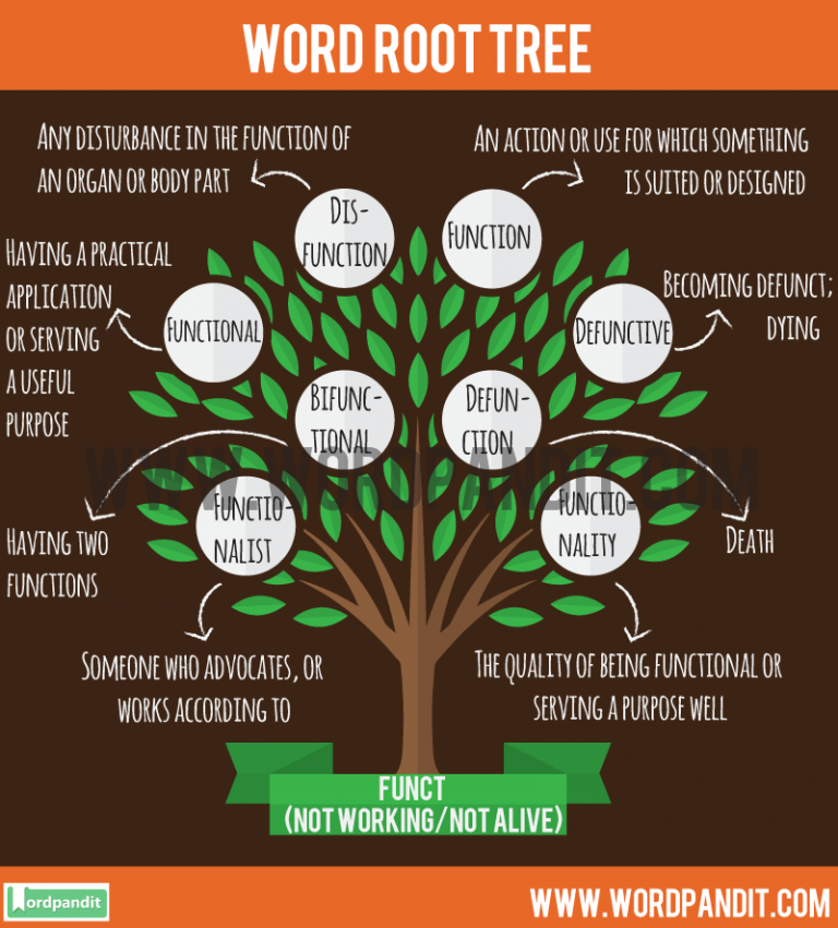 funct-root-word-wordpandit