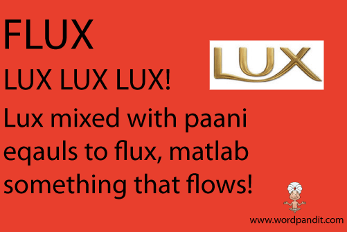 picture and mnemonic for flux