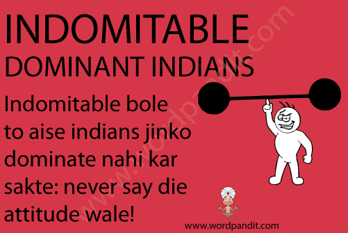 picture and mnemonic for indomitable