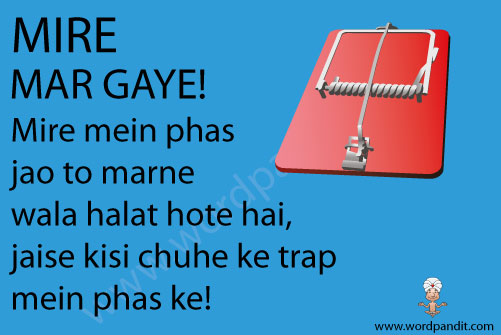 picture and mnemonic for mire