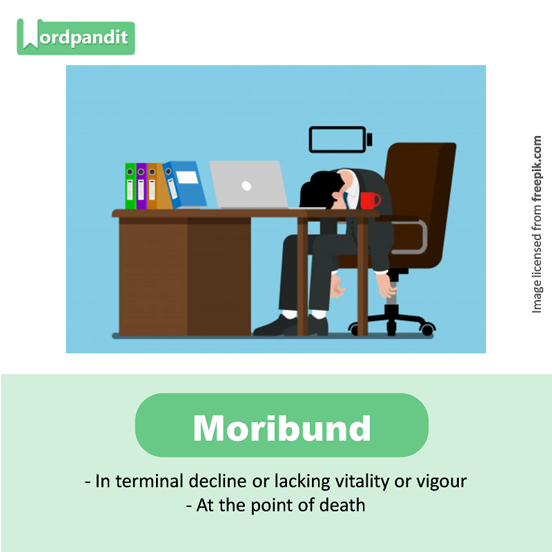 Learn For Job - 🔰 Wednesday, 13 January 2021 🔰 ○The Hindu Vocabulary For  All Competitive Exams. 1. DISMANTLE (VERB): (विघटित करना) : take apart  Synonyms: pull apart, deconstruct Antonyms: assemble Example