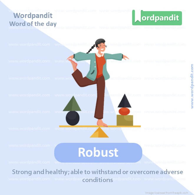 what-is-robustness-in-software-testing-parasoft