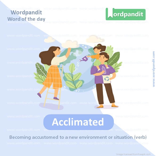 Acclimated Picture Vocabulary