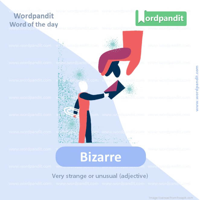 Bizarre Picture Vocabulary