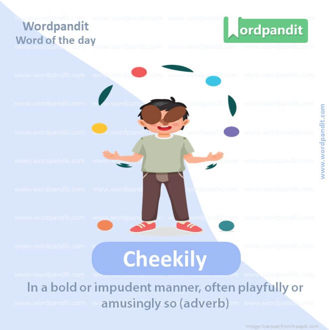 Cheekily Picture Vocabulary