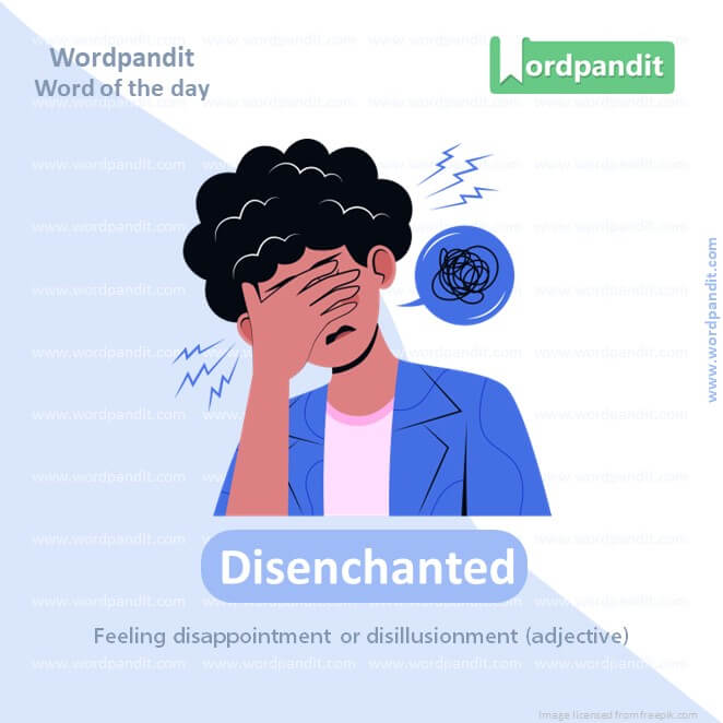 Disenchanted Picture Vocabulary