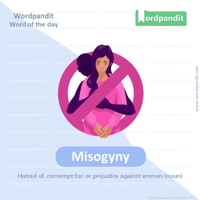 Misogyny Picture Vocabulary