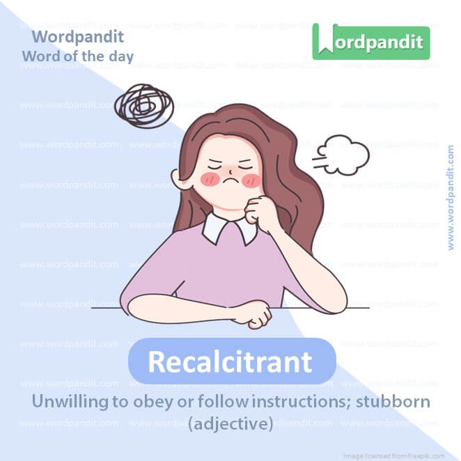 STUBBORN - Meaning and Pronunciation 