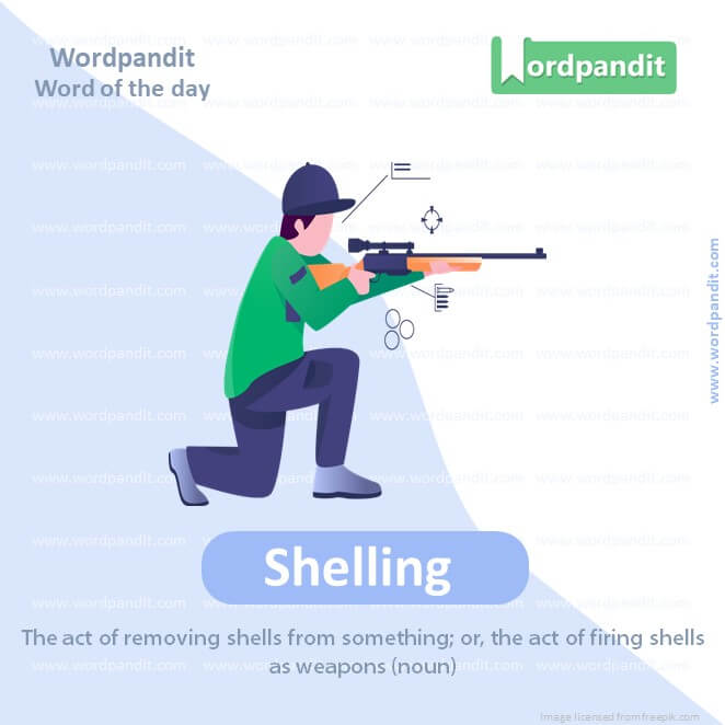 Shelling Picture Vocabulary
