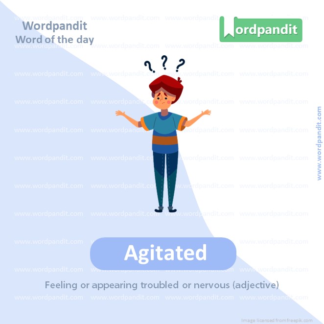 Agitated Picture Vocabulary