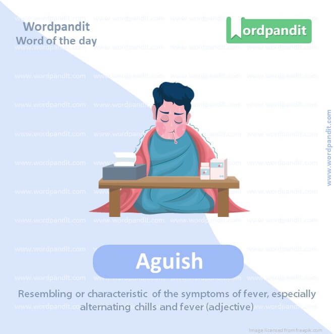 Aguish Picture Vocabulary
