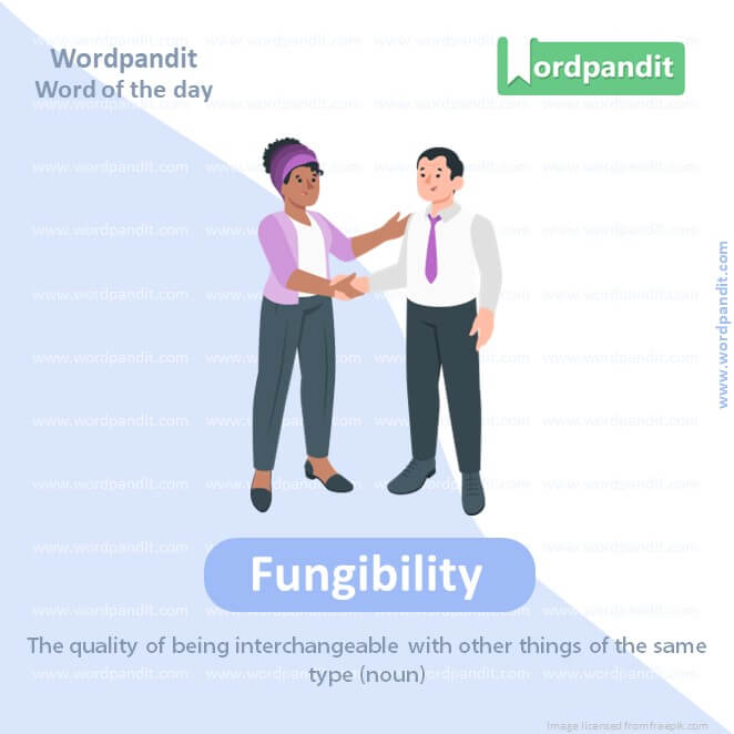 Fungibility Picture Vocabulary