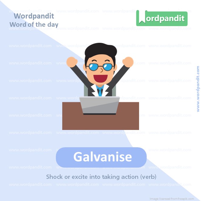 Galvanise Picture Vocabulary