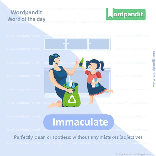 Immaculate Picture Vocabulary