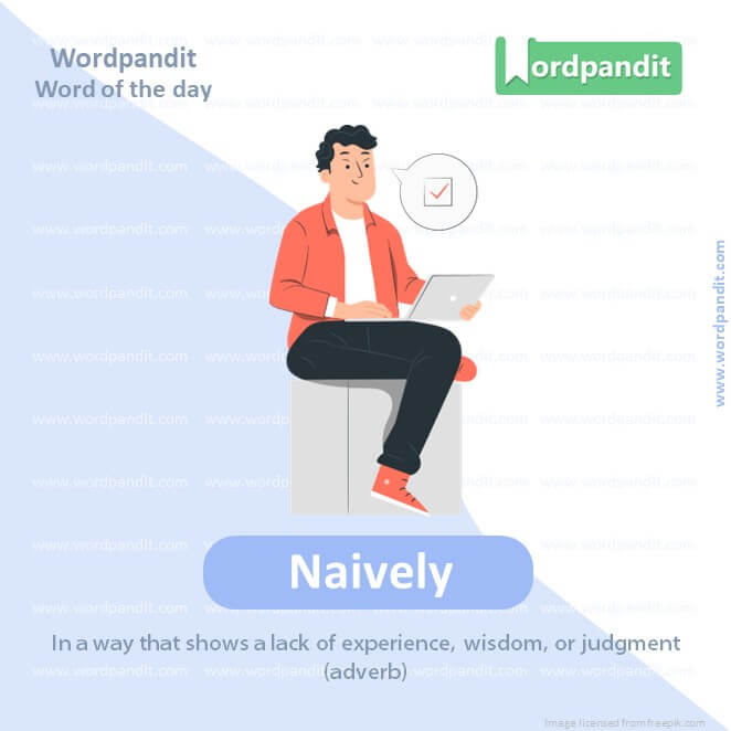 Naively Picture Vocabulary