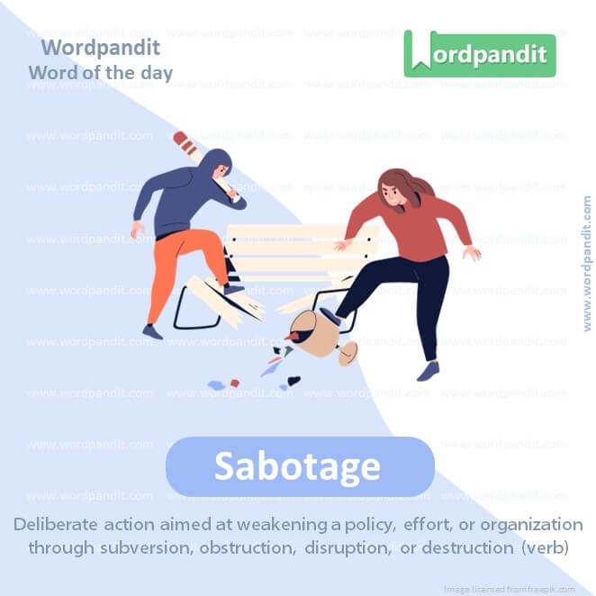 Sabotage Picture Vocabulary