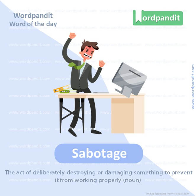Sabotage Picture Vocabulary