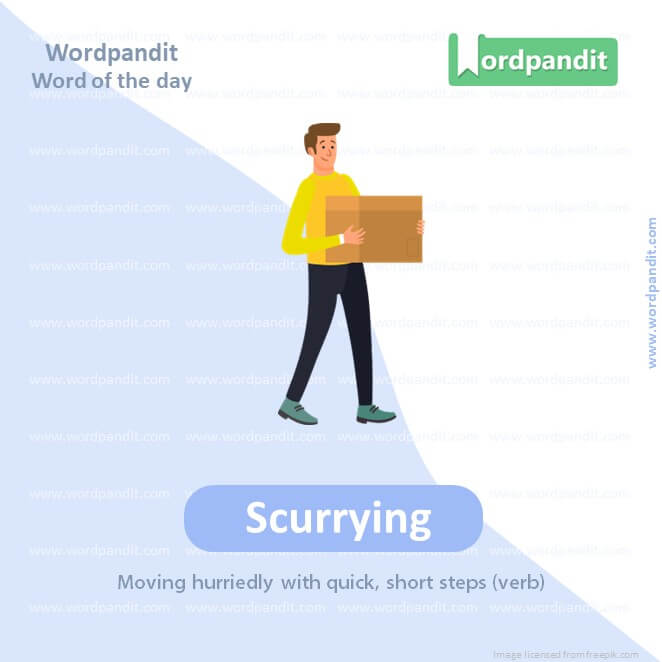 Scurrying Picture Vocabulary