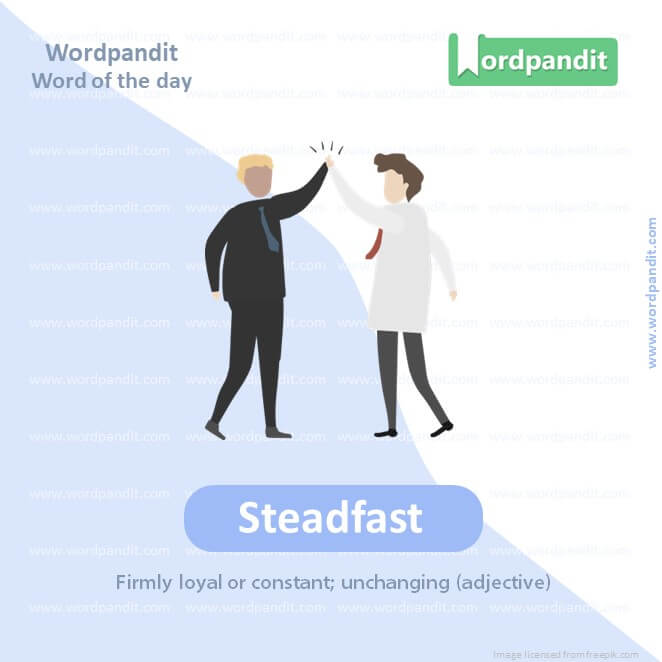 Steadfast Picture Vocabulary