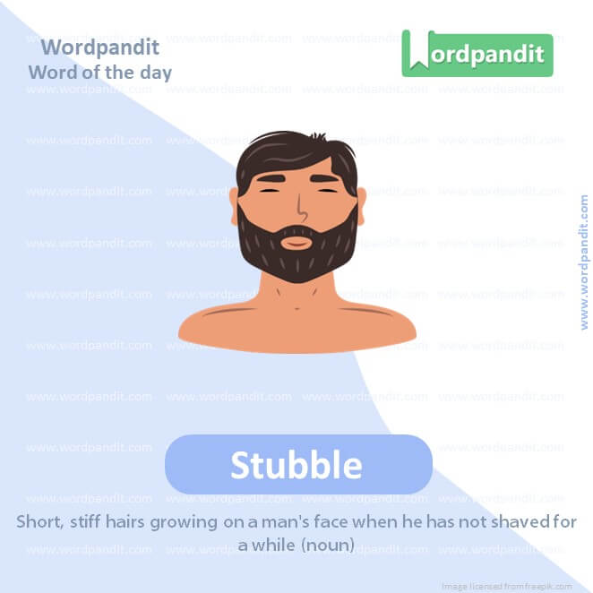 Stubble Picture Vocabulary