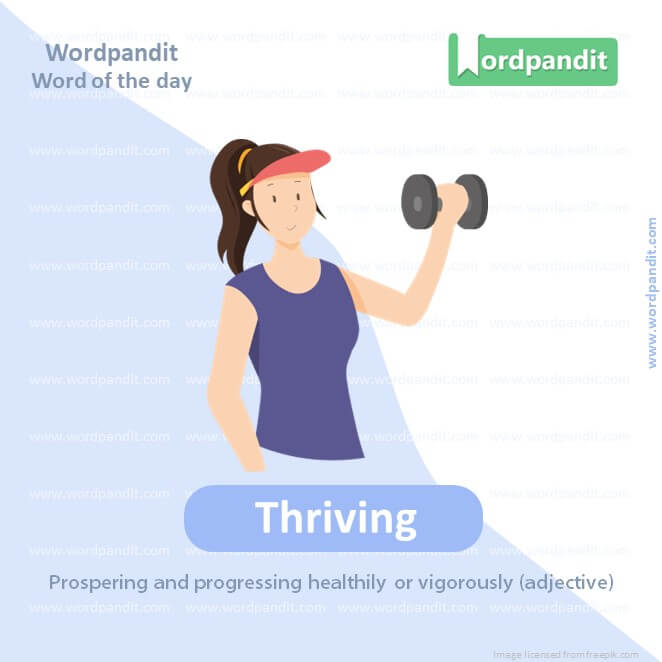 Thriving Picture Vocabulary