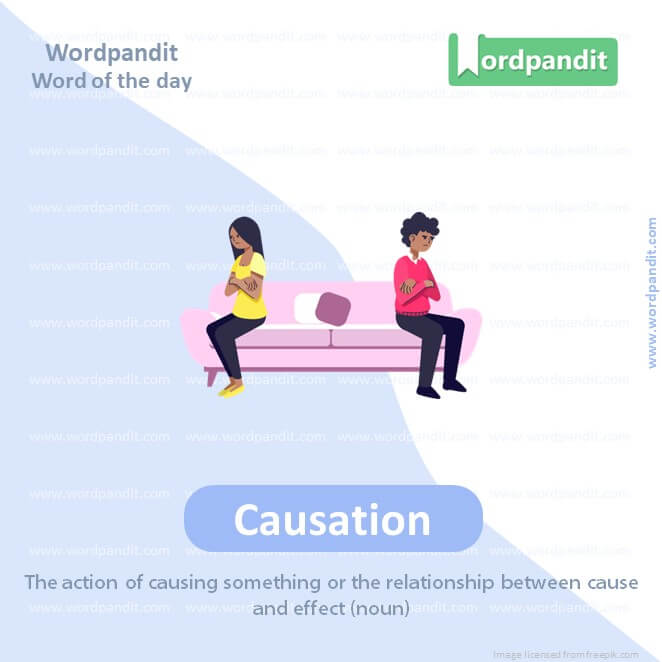 Causation Picture Vocabulary
