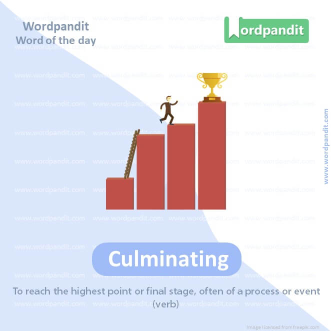 Culminating Picture Vocabulary