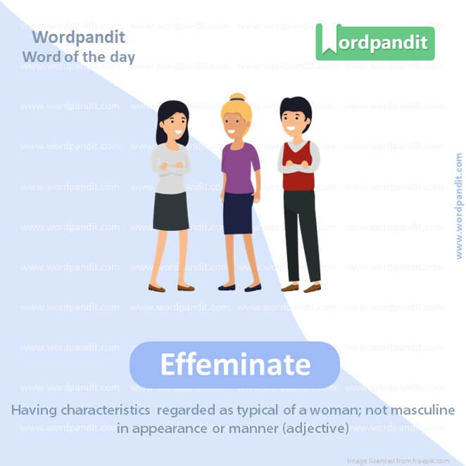 Effeminate Picture Vocabulary